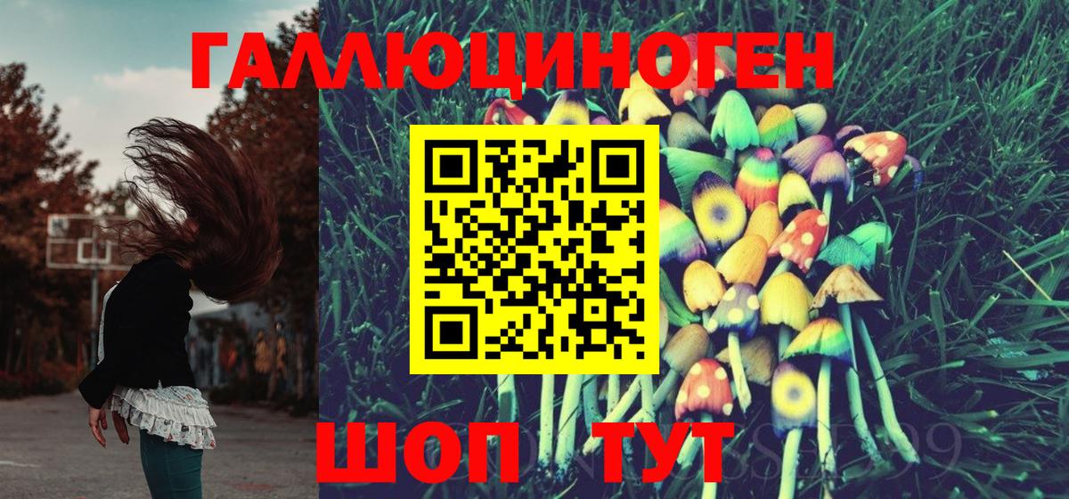 Псилоцибиновые грибы ЛСД Новомосковск